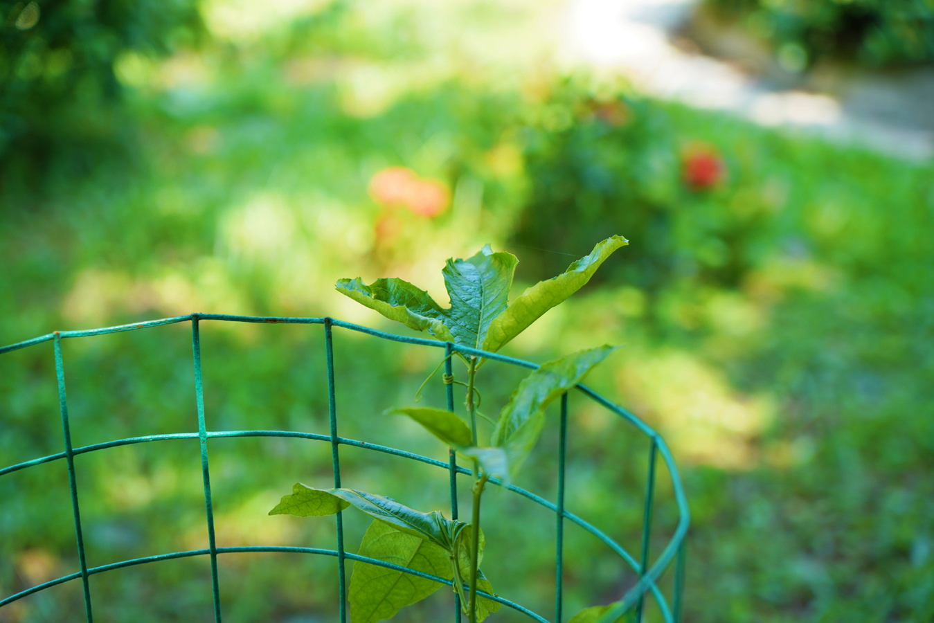 CA88(中国区)唯一官方网站