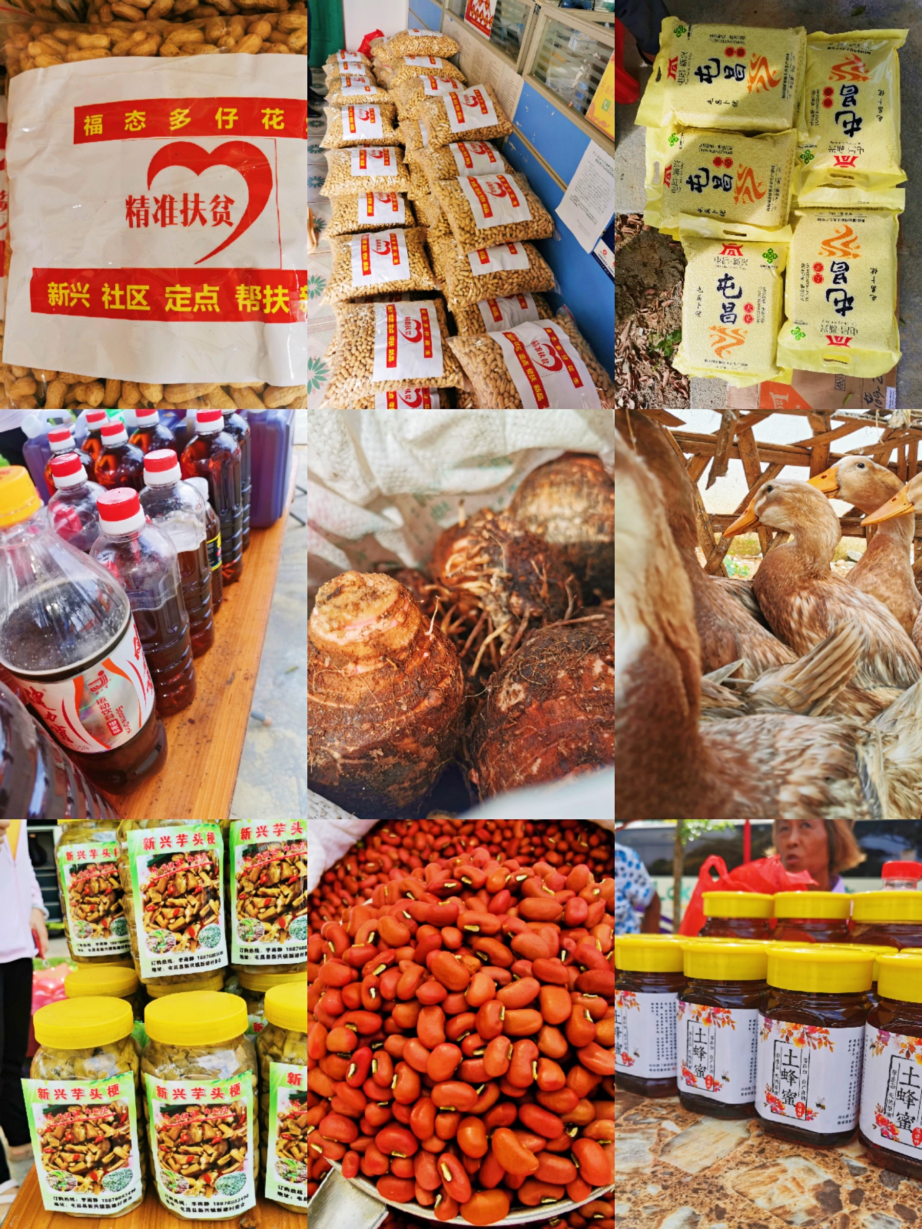 CA88(中国区)唯一官方网站