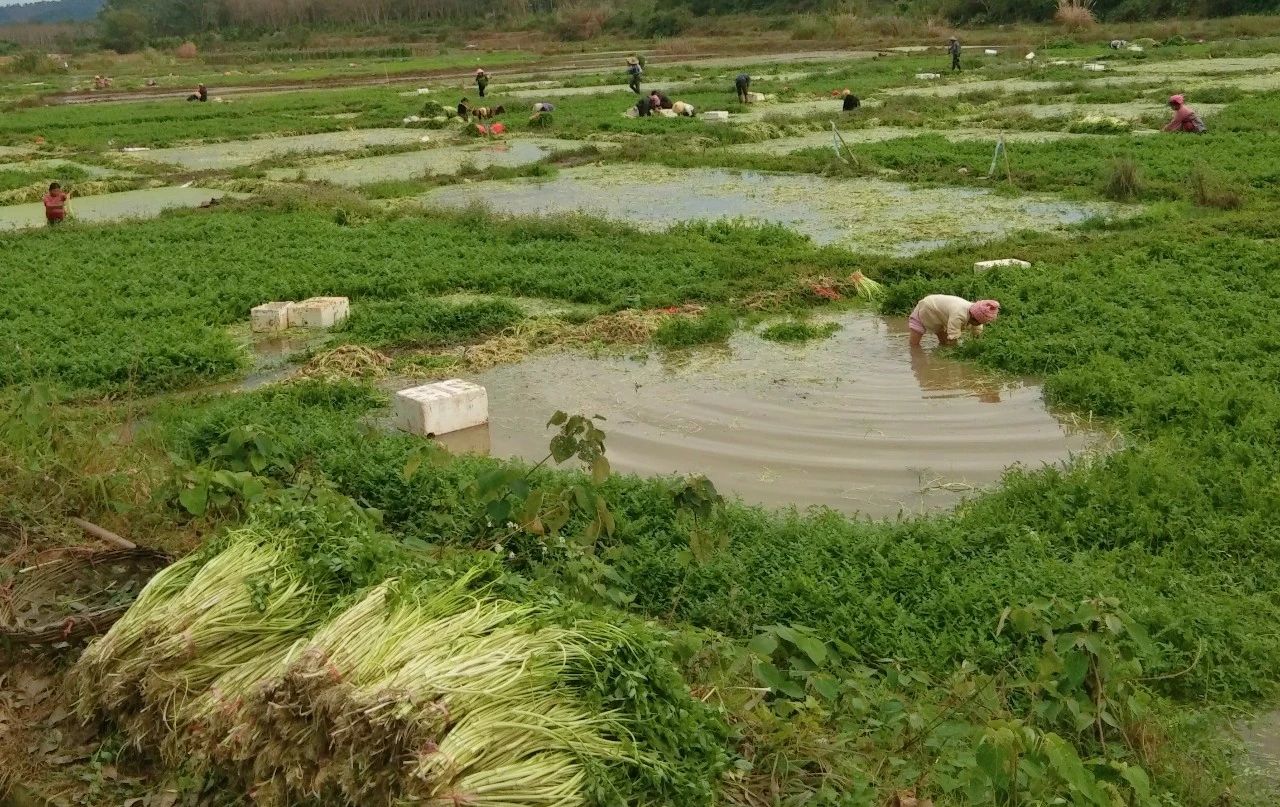CA88(中国区)唯一官方网站