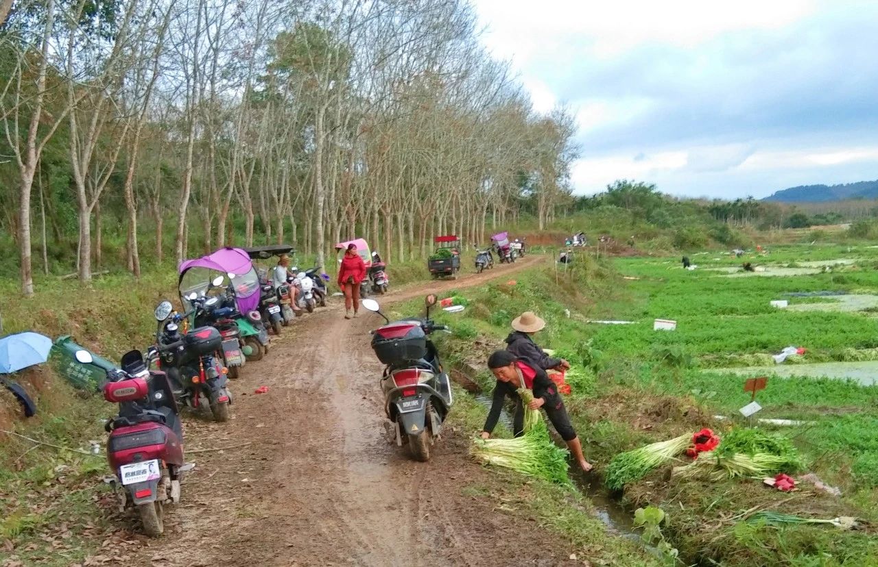 CA88(中国区)唯一官方网站