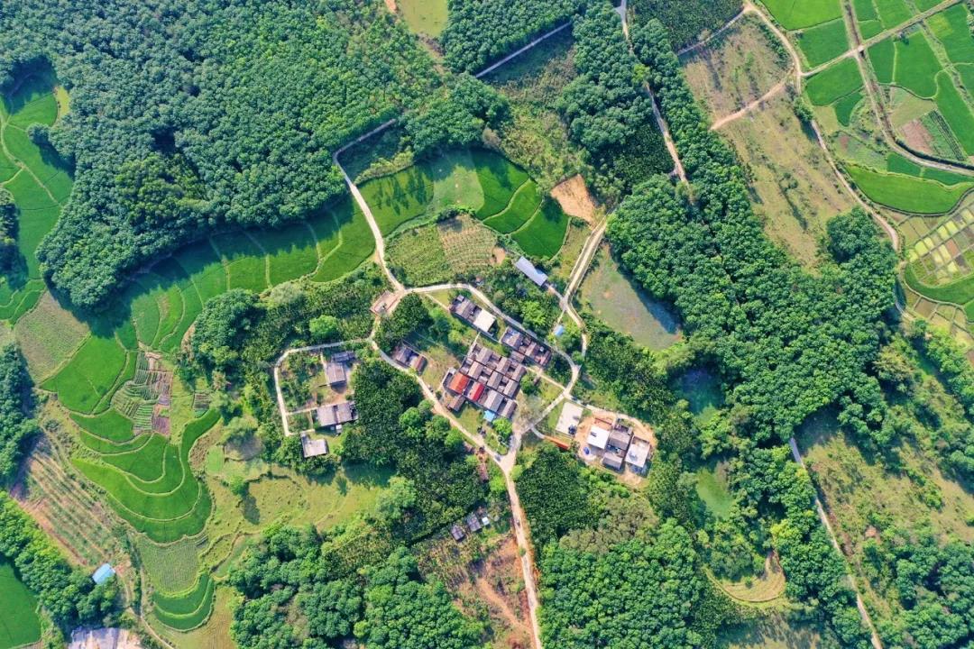 CA88(中国区)唯一官方网站