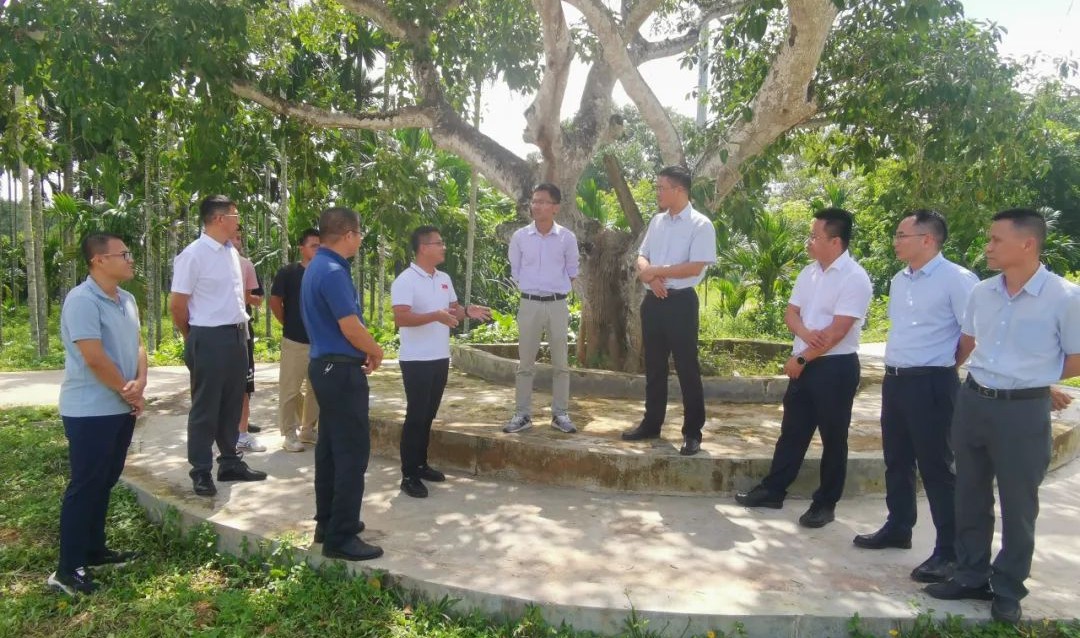 CA88(中国区)唯一官方网站