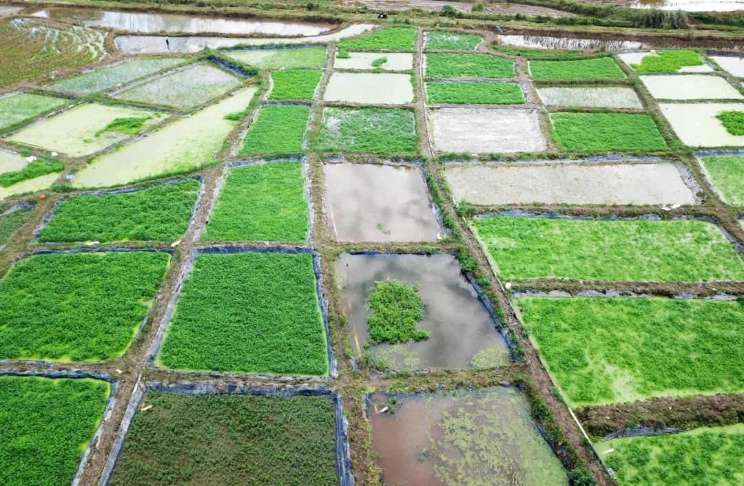 CA88(中国区)唯一官方网站